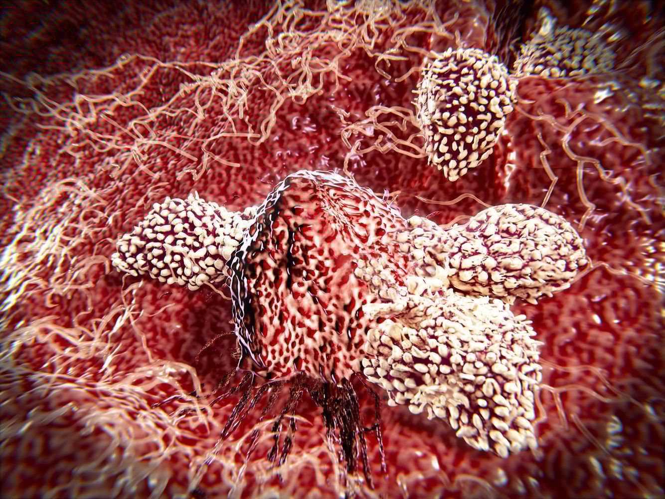 Understanding the Power of Natural Killer Cells and New Nonradioactive